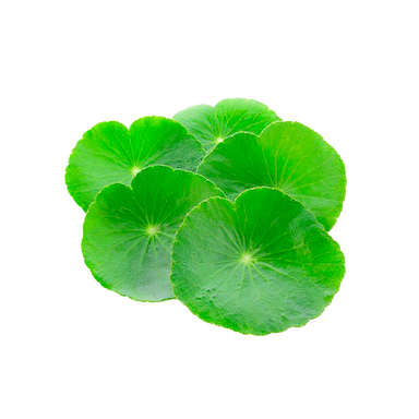 Extrait de Centella Asiatica 