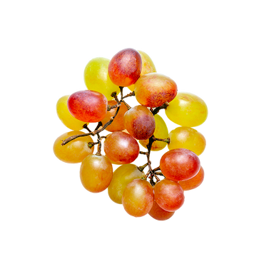 Extrait de Raisin blanc